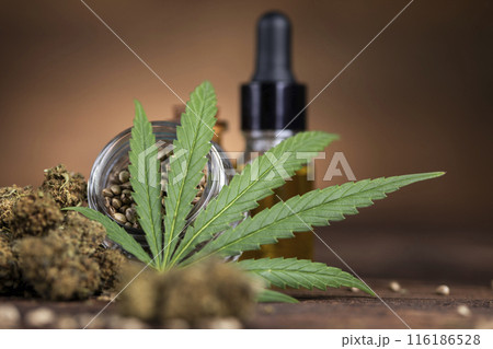 Close up view of green marijuana plant Close up view of green marijuana plant 116186528