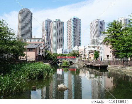 佃公園から見る高層マンション群 佃公園から見る高層マンション群 116186934