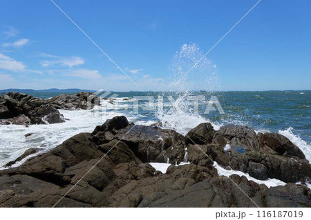 【西浦】岩場に打ち寄せる荒波 116187019