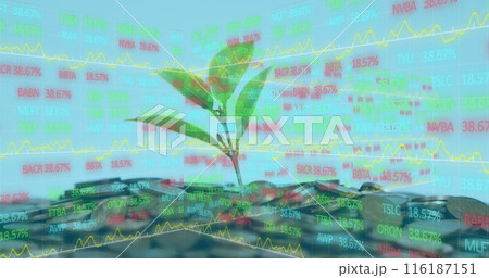 Image of financial data processing over money and plant on blue background 116187151