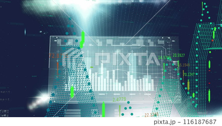 Image of financial and statistical data processing against light spot on black background 116187687