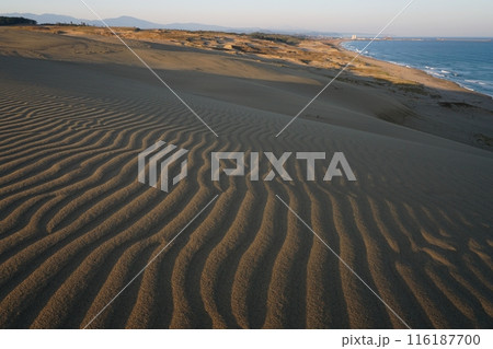 鳥取砂丘　馬の背西側の風紋と白波打ち寄せる海岸の風景　Ver1 116187700