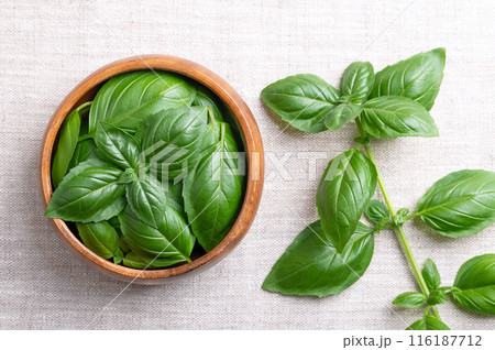 Sweet basil leaves in a wooden bowl on linen fabric with whole branch on the right. Fresh great or Genovese basil, Ocimum basilicum, a tender and aromatic culinary herb in the mint family Lamiaceae. 116187712