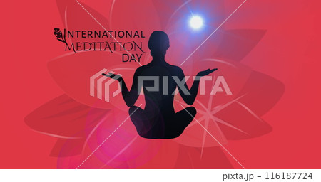 Image of meditation day text banner and silhouette of woman in yoga pose on floral background 116187724