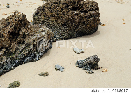 風化して穴が空いている砂浜の岩 116188017