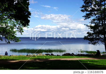 サンクトペテルブルクの夏の宮殿の緑豊かな庭園 116188076