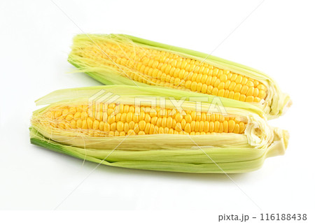 とうもろこし（おひさまコーン） 116188438