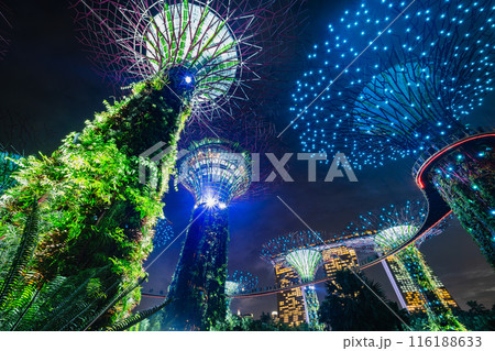 シンガポール 夜のガーデンズ・バイ・ザ・ベイ シンガポール 夜のガーデンズ・バイ・ザ・ベイ 116188633