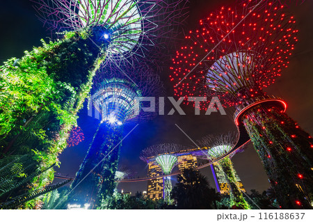 シンガポール　夜のガーデンズ・バイ・ザ・ベイ 116188637