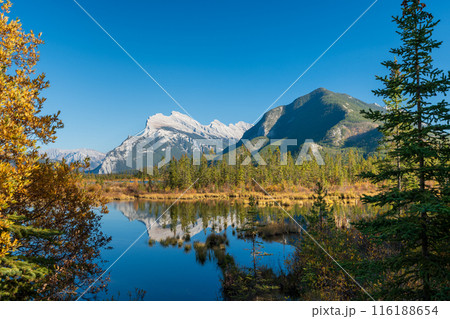 Banff National Park autumn foliage scenery. Alberta, Canada. Vermilion Lakes, Mount Rundle. Canadian Rockies. Banff National Park autumn foliage scenery. Alberta, Canada. Vermilion Lakes, Mount Rundle. Canadian Rockies. 116188654