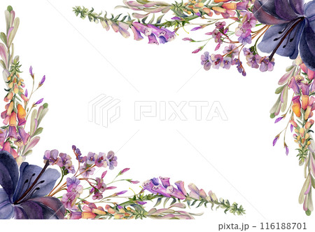 Hand drawn watercolor illustration botanical flowers leaves. Lily clivia amaryllis, foxglove snapdragon lupin, pink lobelia jasmine, willow eucalyptus. Corner frame isolated on white. Wedding, cards Hand drawn watercolor illustration botanical flowers leaves. Lily clivia amaryllis, foxglove snapdragon lupin, pink lobelia jasmine, willow eucalyptus. Corner frame isolated on white. Wedding, cards 116188701