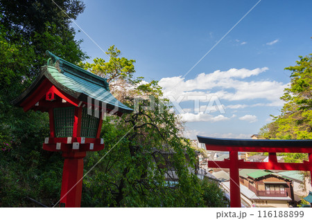 江島神社 朱の大鳥居 商店街を見渡せる風景 江島神社 朱の大鳥居 商店街を見渡せる風景 116188899