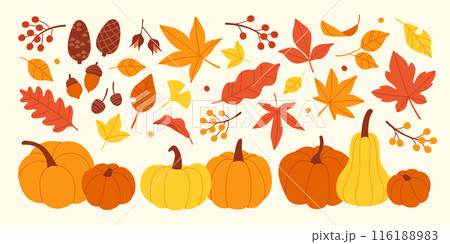 秋の収穫コレクション:カラフルな葉、どんぐり、カボチャのベクターセット 秋の収穫コレクション:カラフルな葉、どんぐり、カボチャのベクターセット 116188983