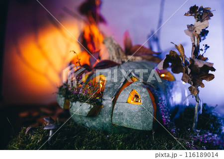 Beautiful autumn lantern from pumpkin, fairy pumpkin house 116189014