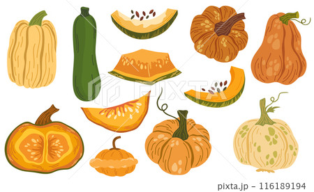 2083_pumpkin_set 116189194