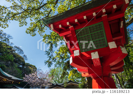 江島神社の祠 新緑の季節 江島神社の祠 新緑の季節 116189213