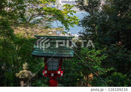 江島神社の祠 新緑の中で参拝 江島神社の祠 新緑の中で参拝 116189216