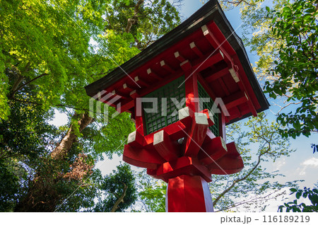 江島神社の祠 新緑の中で参拝 江島神社の祠 新緑の中で参拝 116189219