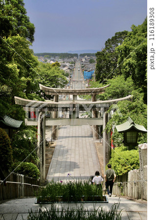 宮地嶽神社・みやじだけじんじゃ(福岡県・福津市) 宮地嶽神社・みやじだけじんじゃ(福岡県・福津市) 116189308