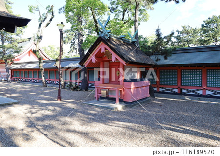 大阪市にある住吉大社境内の風景 116189520
