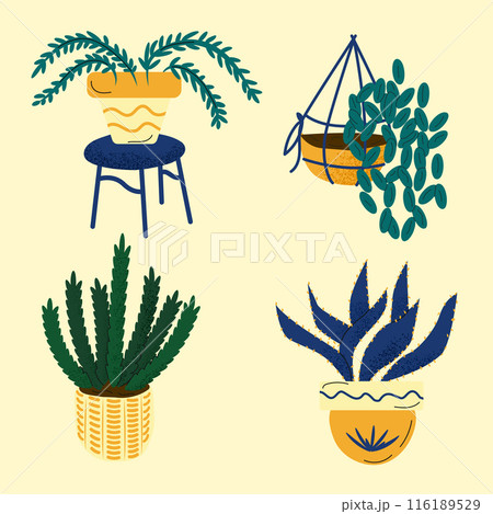 Houseplant illustrations in artistic styles  116189529