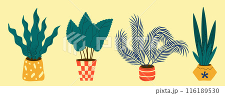 Botanical plant illustrations in decorative pots 116189530