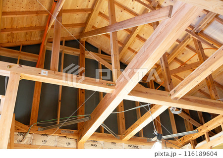 建設中の木造平屋住宅の基礎 116189604