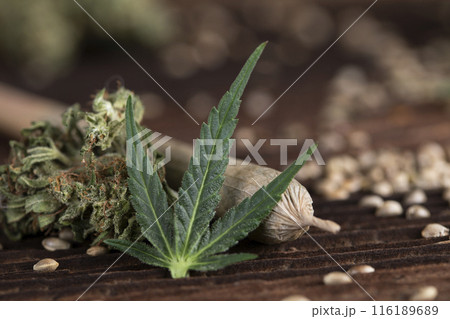 Blunt, Cbd, Marijuana bud with cannabis Blunt, Cbd, Marijuana bud with cannabis 116189689