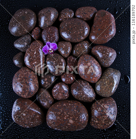 Spa stones and purple flowers, orchid 116189702