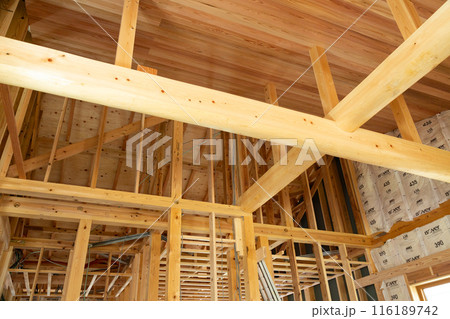 建設中の木造平屋住宅の基礎 116189742