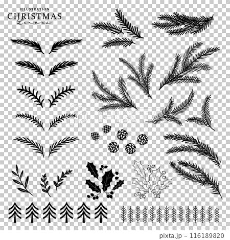 モミの枝葉のシルエットイラスト・クリスマスセット 116189820