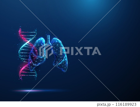 Abstract blue and purple DNA molecule helix and human lungs. Genetic biotechnology engineering concept. Low poly futuristic technology digital style Geometric background. Wireframe structure. Vector. 116189923