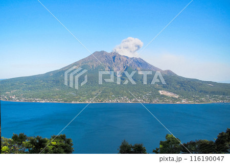 城山公園　展望台から見た桜島 116190047