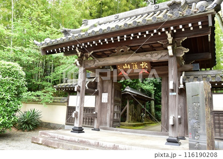 横浜市都筑区　正覚寺の山門と新緑 116190208