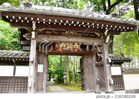 横浜市都筑区　正覚寺の山門と新緑 116190209