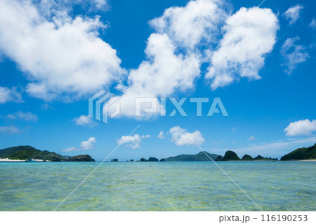 沖縄県慶良間諸島、座間味島阿真ビーチから見た眺め 116190253