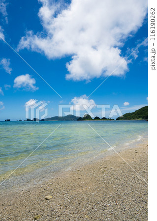 座間味島 阿真ビーチとシルグスク、沖縄県 慶良間諸島 116190262