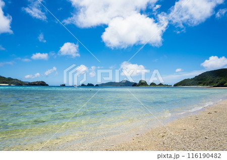 座間味島阿真ビーチ、沖縄県慶良間諸島 116190482
