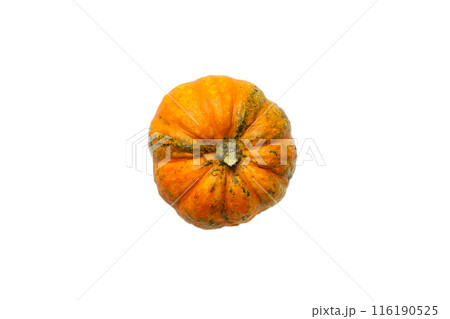 Pumpkin isolated on white background top view. Halloween concept 116190525