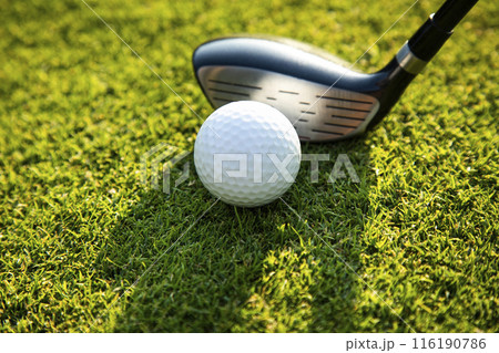 Sport and lifestyle, golf player playing in a golf club Sport and lifestyle, golf player playing in a golf club 116190786