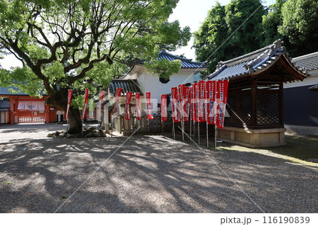 大阪市の住吉大社境内にある御文庫風景 大阪市の住吉大社境内にある御文庫風景 116190839