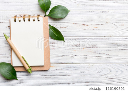 eco-friendly Empty notebook with pen and green leaf on Colored background for note 116190891
