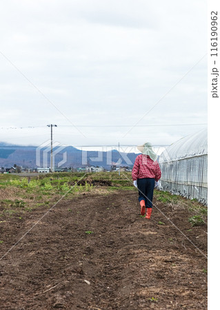 農作業をする女性 116190962