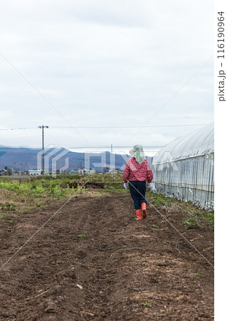 農作業をする女性 116190964