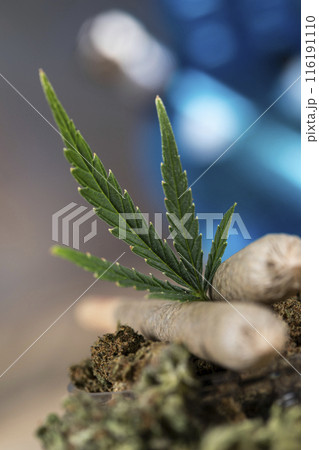 Blunt, Cbd cannabis hemp buds Blunt, Cbd cannabis hemp buds 116191110