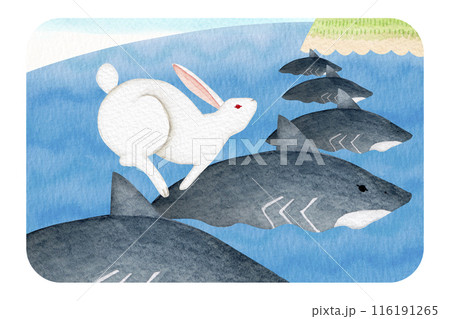 日本昔話 古事記　因幡の白兎　水彩 イラスト 116191265