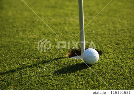 Closeup Golf ball on green grass on course 116191681