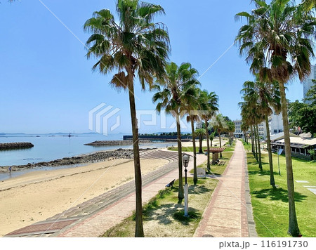 青空、白砂の浜辺、ヤシ並木に彩られた宮崎海水浴場〈吉良ワイキキビーチ/愛知県西尾市〉 青空、白砂の浜辺、ヤシ並木に彩られた宮崎海水浴場〈吉良ワイキキビーチ/愛知県西尾市〉 116191730