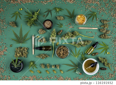 Cbd concept, Marijuana and cannabis buds Cbd concept, Marijuana and cannabis buds 116191932