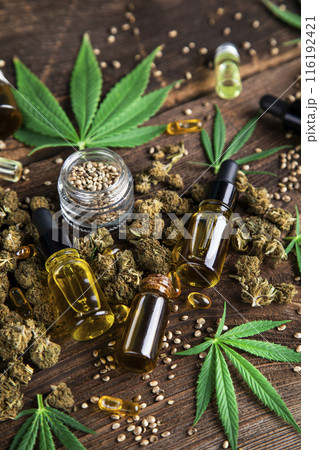 Cbd oil and marijuana plant, hemp seeds, medical marijuana concept Cbd oil and marijuana plant, hemp seeds, medical marijuana concept 116192421